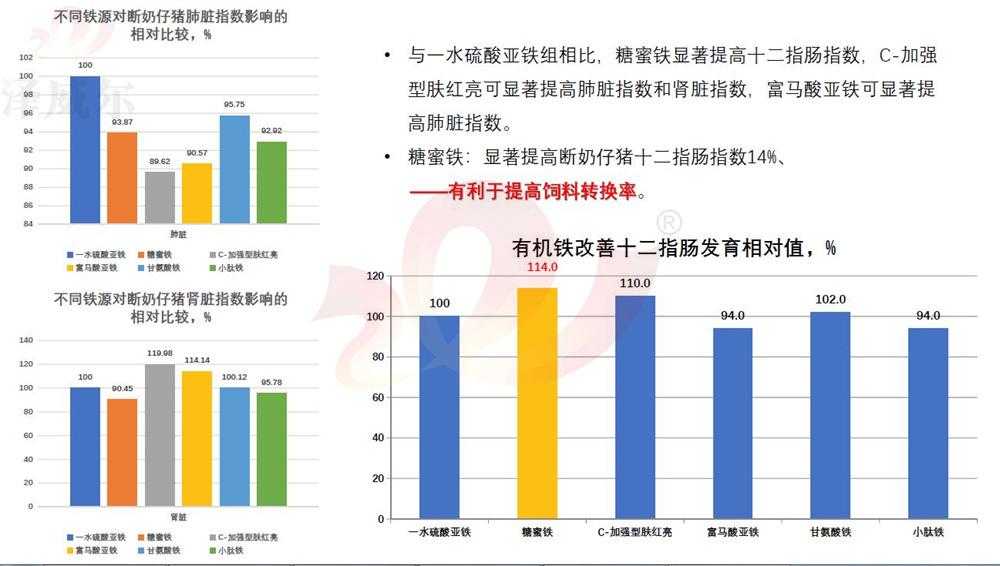 不同飼料添加劑鐵源對斷奶仔豬肺臟指數(shù)影響的相對比較